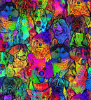 Puparazzi - Timeless Treasures - Bright Comic Dog Collage CD4363-BRI