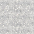 Purely Neutral by Blank Quilting - PURELYNEUTRA-B-3521-90 - Stars Grey
