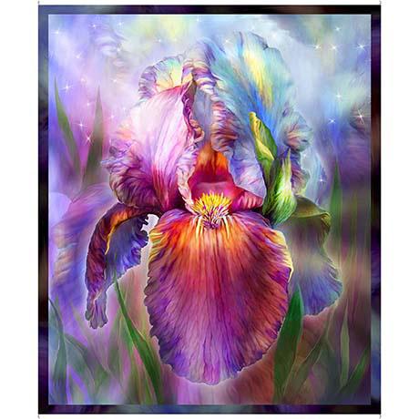 Rainbow Iris PANEL 36" by QT Fabrics 30112-X