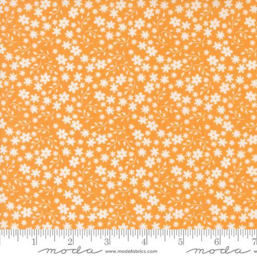 Raspberry Summer - Moda - Apricot 537693-14