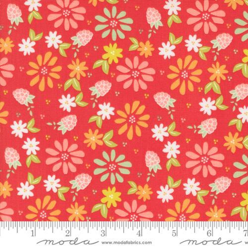Raspberry Summer - Moda - Raspberry 537690-13