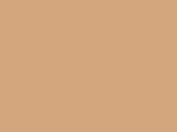 Robinson-Anton Embroidery Thread Spool - 2273 Tan