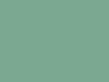 Robinson-Anton Embroidery Thread Spool - 2278 Moss