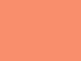 Robinson-Anton Embroidery Thread Spool - 2294 Melon
