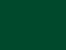 Robinson-Anton Embroidery Thread Spool - 2315 Evergreen