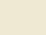 Robinson-Anton Embroidery Thread Spool - 2343 Eggshell