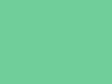 Robinson-Anton Embroidery Thread Spool - 2390 Peppermint