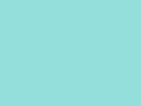 Robinson-Anton Embroidery Thread Spool - 2393 Sea Mist