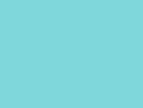 Robison-Anton Spool - Rayon - 2204 Turquoise