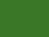 Robison-Anton Spool - Rayon - 2209 Green