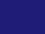 Robison-Anton Spool - Rayon - 2210 Royal