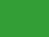 Robison-Anton Spool - Rayon - 2214 Emerald