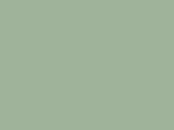 Robison-Anton Spool - Rayon - 2221 Willow