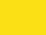 Robison-Anton Spool - Rayon - 2235 Canary