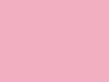 Robison-Anton Spool - Rayon - 2237 Carnation
