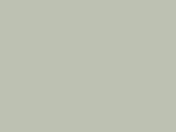 Robison-Anton Spool - Rayon - 2241 Palm Leaf