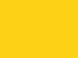 Robison-Anton Spool - Rayon - 2242 Goldenrod