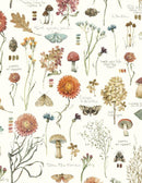 Seasons Study by Lisa Audit - Large All Over Cream 3041-17835-134