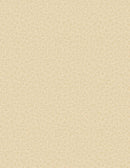 Sentiments by Wilmington - Dots & Scratches Tan 98729-222