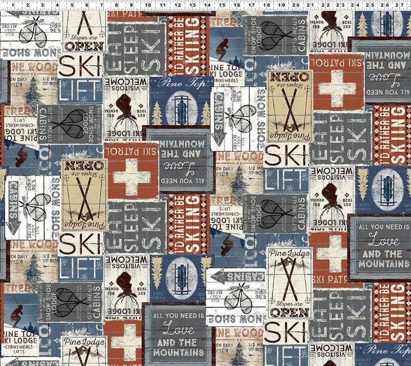 Snow Mountain by Clothworks - Multi Color - Y4207-55D