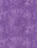 Solid-ish by Kimberly Einmo for Timeless Treasures - C6100-Iris