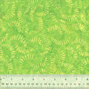 Splendor by Anthology Fabrics Batik - Citrus Slices - Lime 440Q-4
