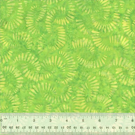 Splendor by Anthology Fabrics Batik - Citrus Slices - Lime 440Q-4