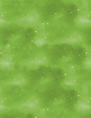 Spooky Tails - Wilmington Prints - 1665-33936-717 - Green Sky & Stars