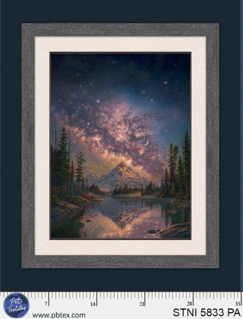 Starlit Night - PANEL 35"x43" - P&B Textiles - Cosmic STNI-5833-PA