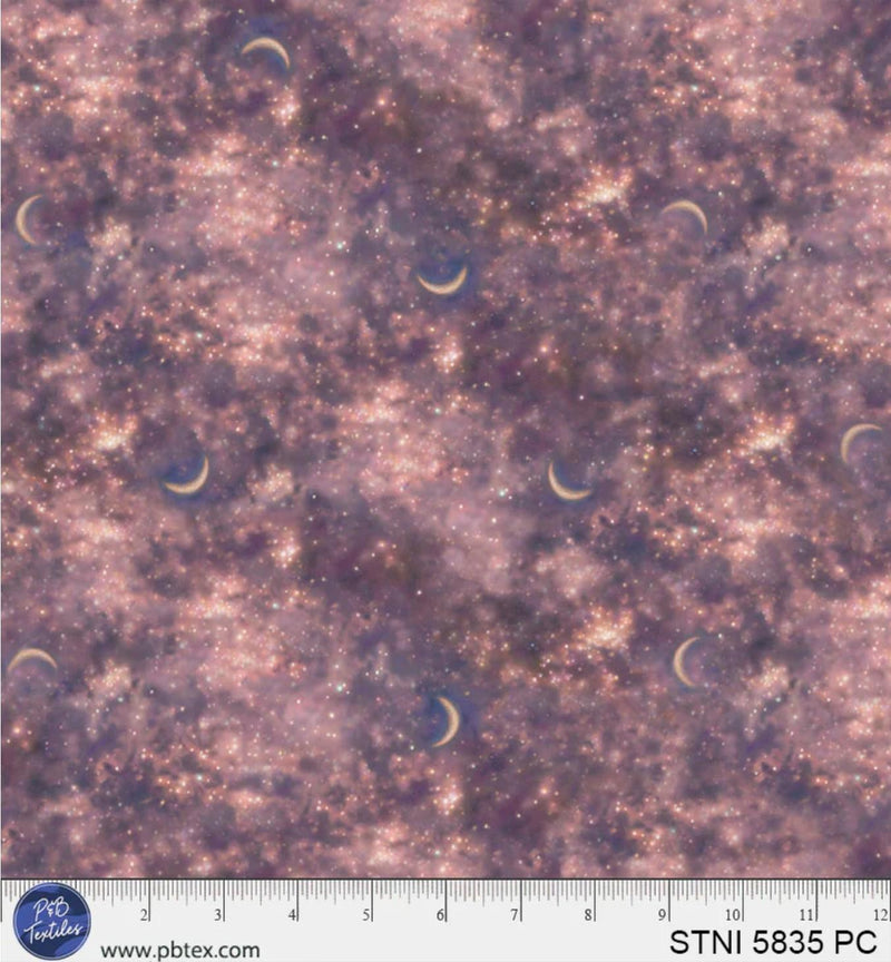 Starlit Night - P&B Textiles - Milky Way - STNI-5835-PC