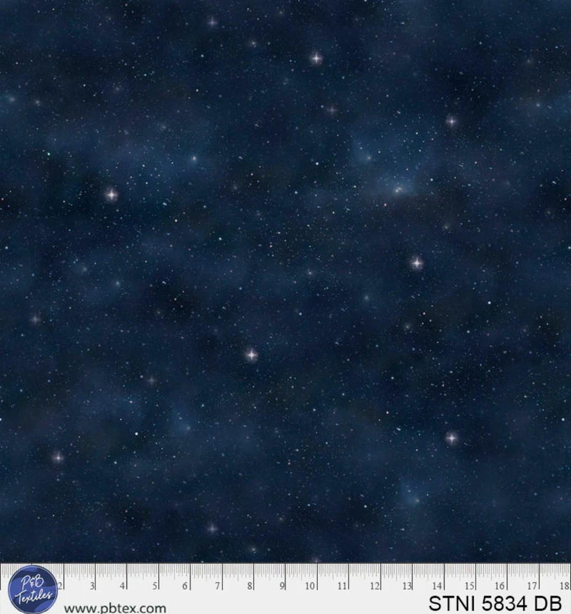 Starlit Night - P&B Textiles - Starry - STNI-5834-DB