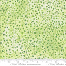 Sunshine and Blue Skies - Moda by Create Joy Project - Spring Green 539830-12