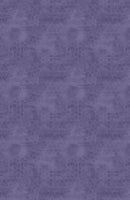 The Art of Beekeeping - Wilmington Prints - 3017-27611-660 Purple