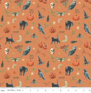 Trick Or Treat - Riley Blake - Spooky CD15962-ORANGE