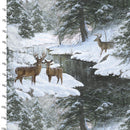 Under The Moonlight - 3 Wishes - Surprise Encounter 23766-MLT