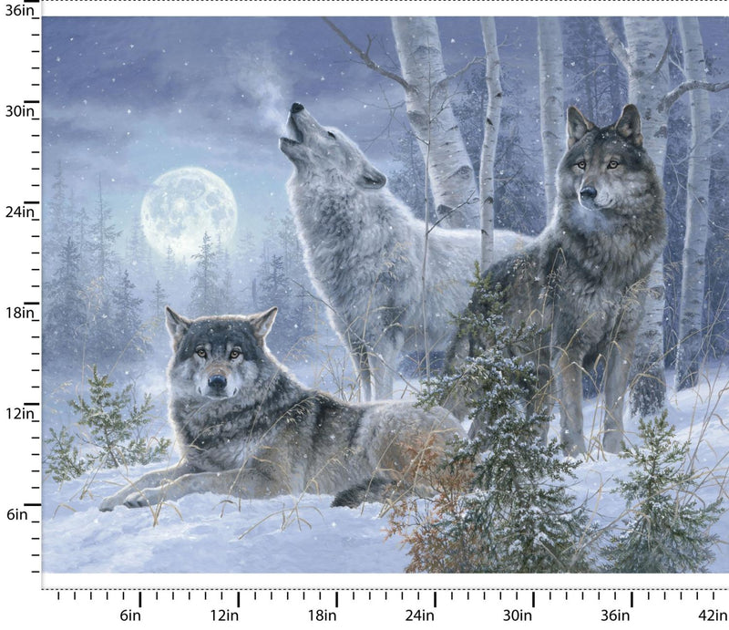 Under The Moonlight - PANEL - 3 Wishes - 36" x 43" Under The Moonlight 23770-PNL