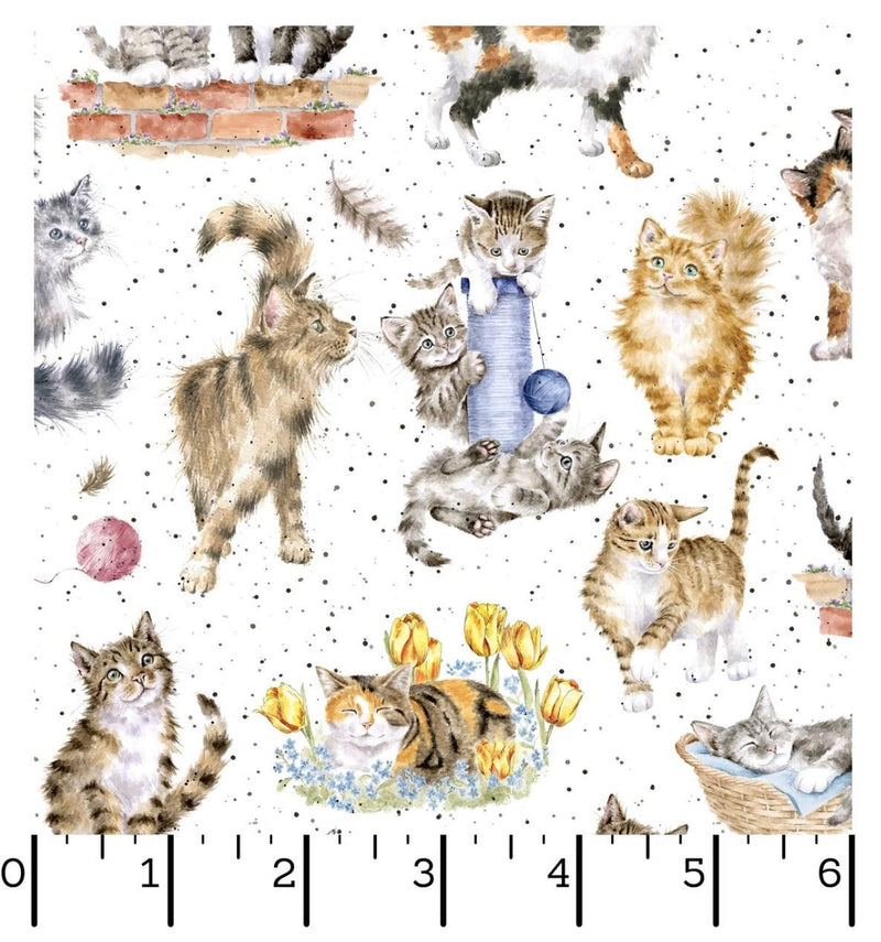 Whiskers & Paws Maywood Studio - Directional Cats - MAS10414-W White