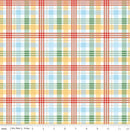 Winnie The Pooh - Riley Blake - C17005-MULTI - Plaid