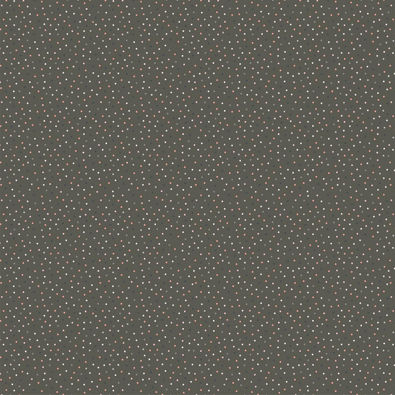 Country Confetti by Poppy Cotton - Weathered Wood Grey CC20187