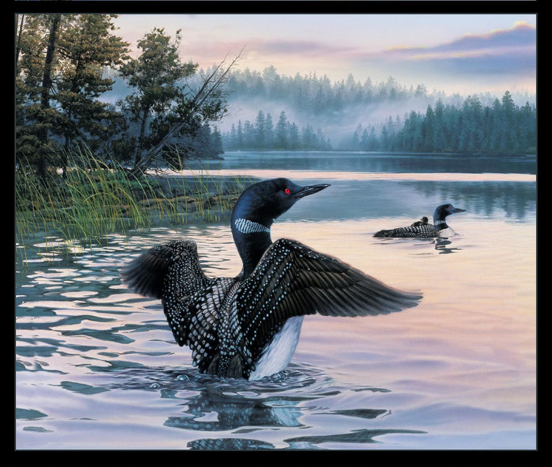 Loons PANEL by Elizabeth's Studio - 36" x 44" Approx