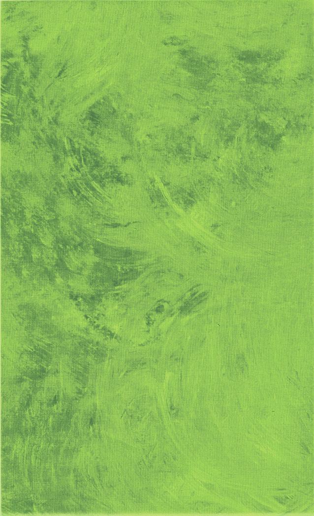 Plaster of Paris by Northcott -  Lime 40009-72
