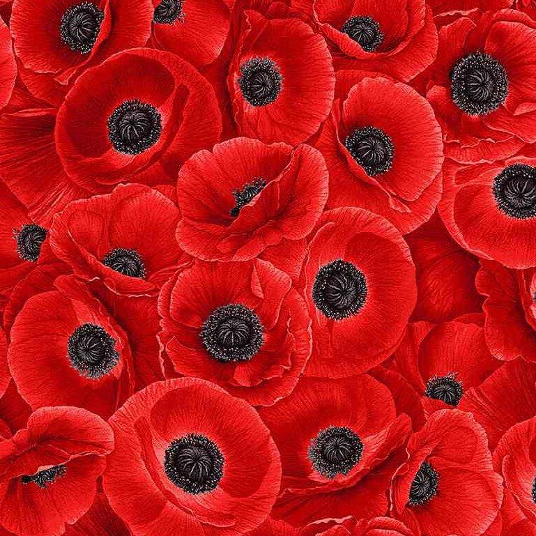 Wild Poppy by Timeless Treasures - Packed Red Poppies C8474